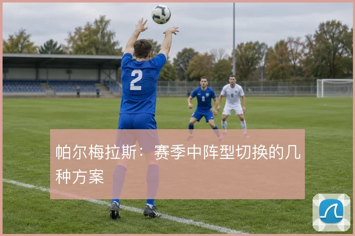 帕尔梅拉斯:赛季中阵型切换的几种方案